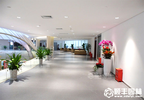 辦公租賃案例